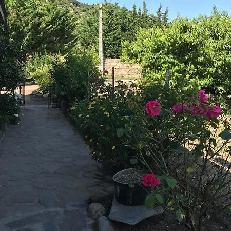 Els Pirineus Moltig les Bains